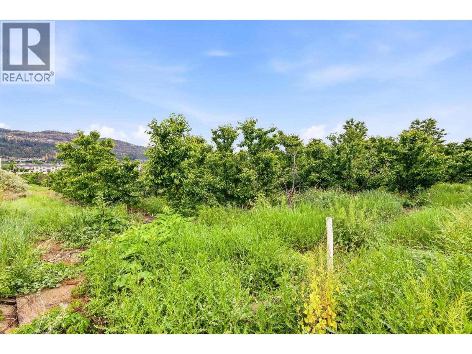 319 Valley Road Property Photo 65