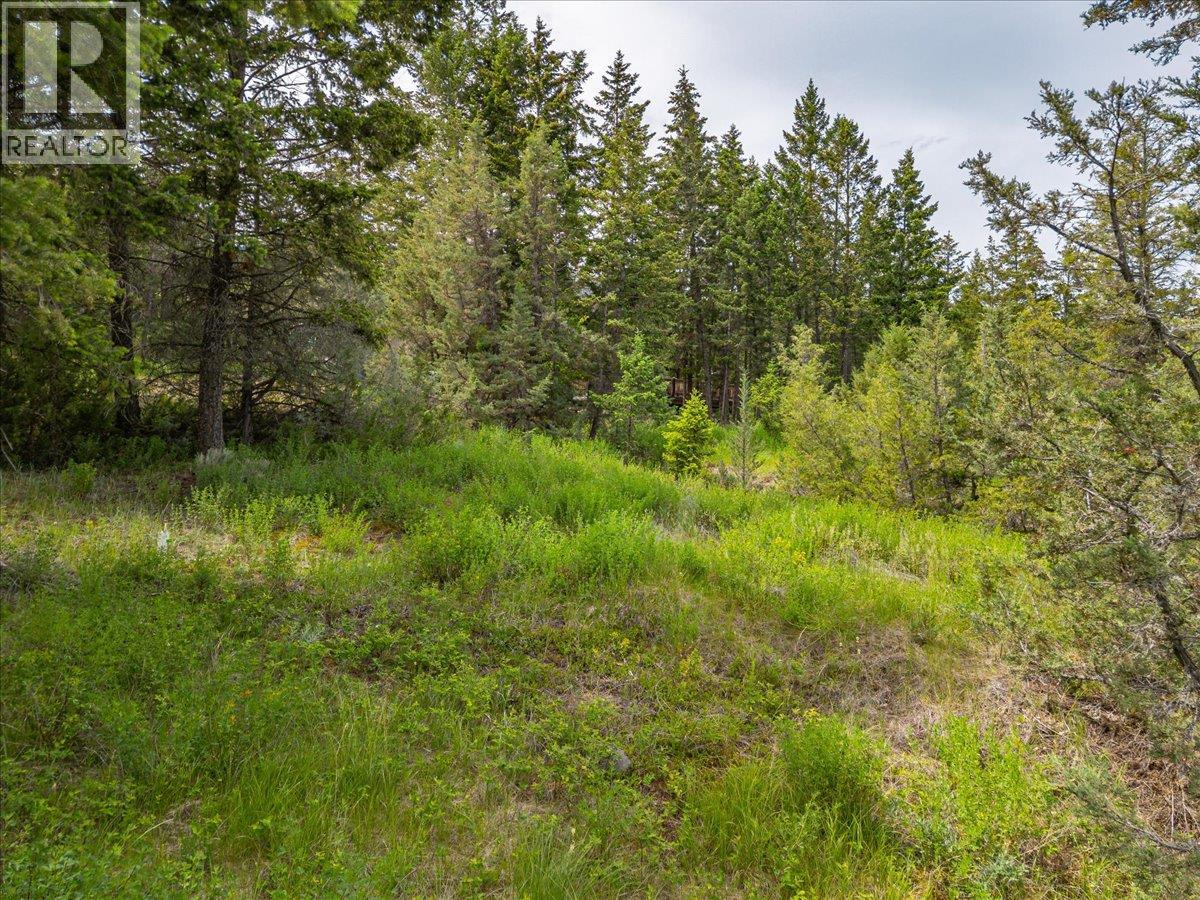 Bella Vista Boulevard Lot# 14 Property Photo 12