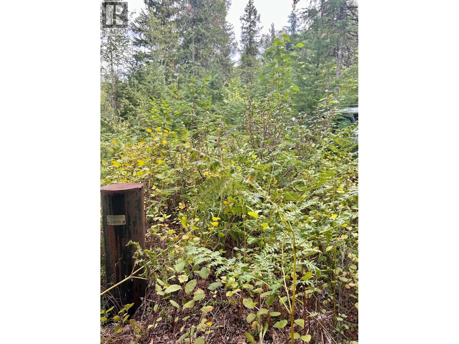 5105 3 Highway Property Photo 6