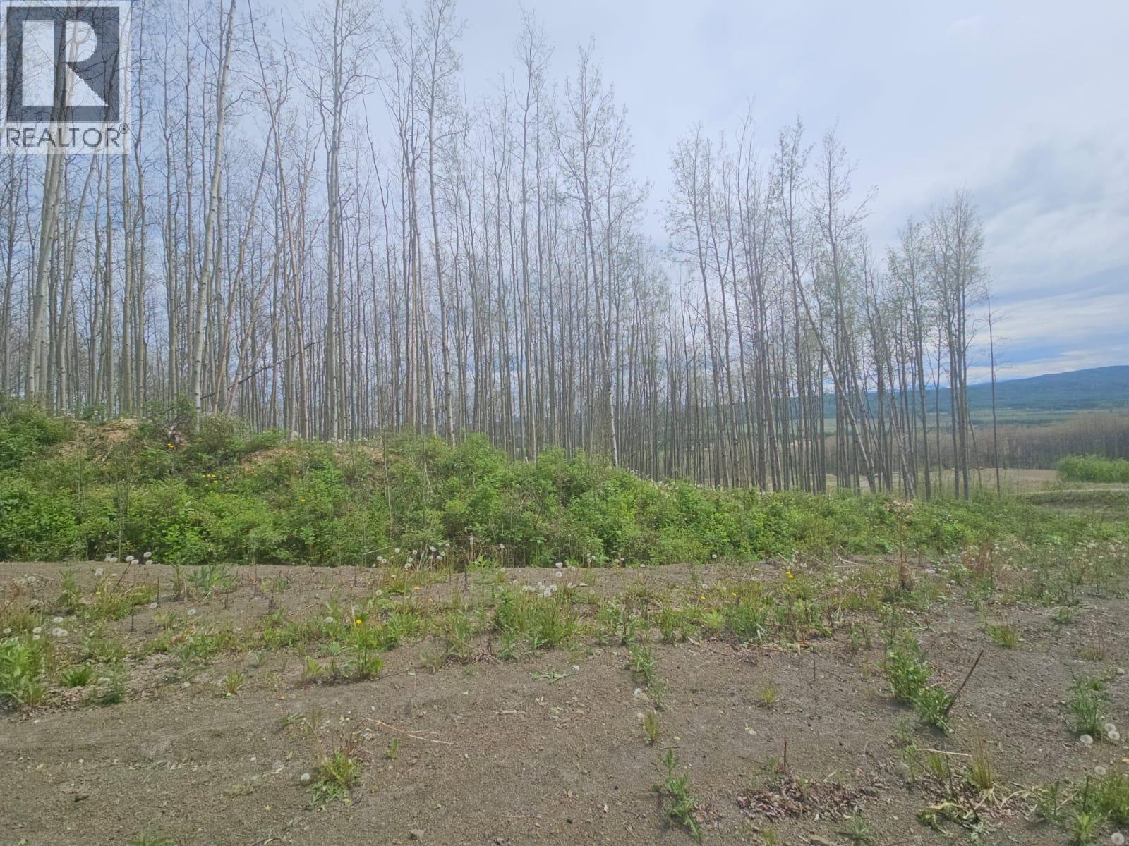 3875 Jackfish Lake Road Property Photo 17
