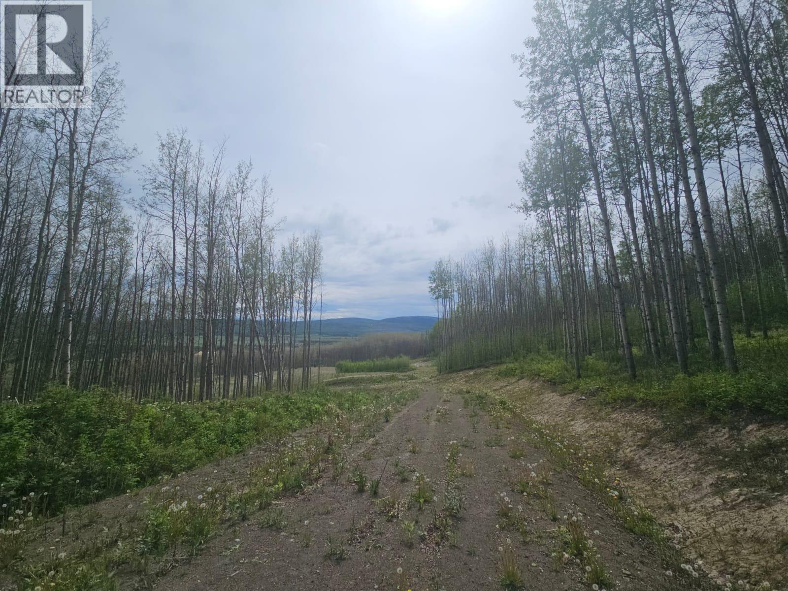 3875 Jackfish Lake Road Property Photo 19