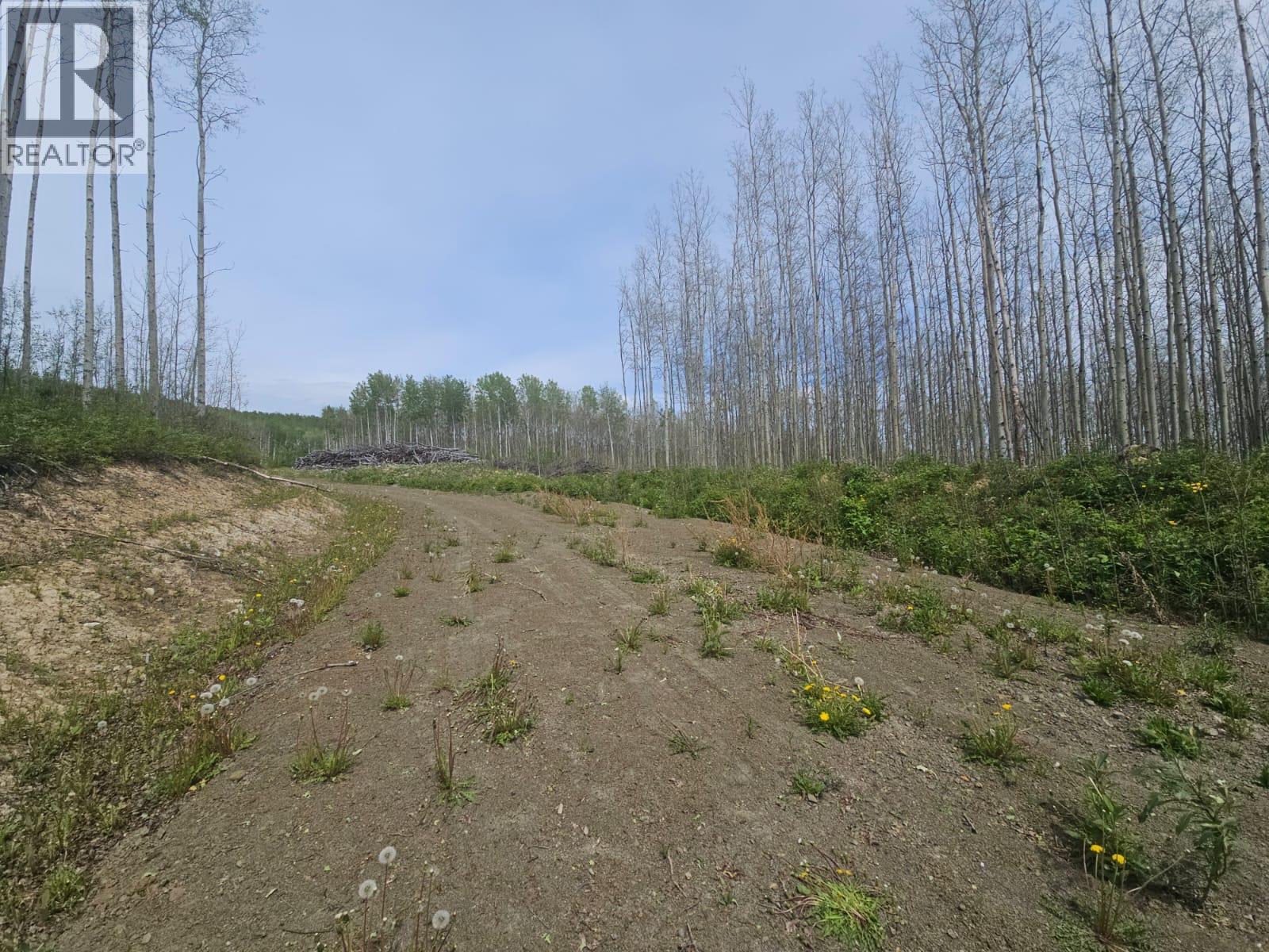 3875 Jackfish Lake Road Property Photo 20