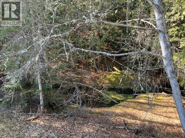 3621 Muzzy Road Property Photo 6