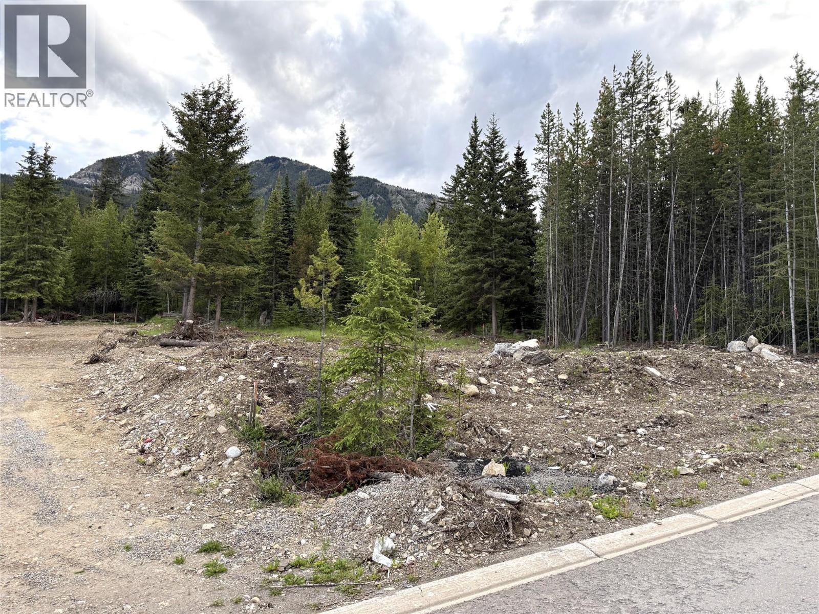 81 Deerborne Drive Property Photo 3