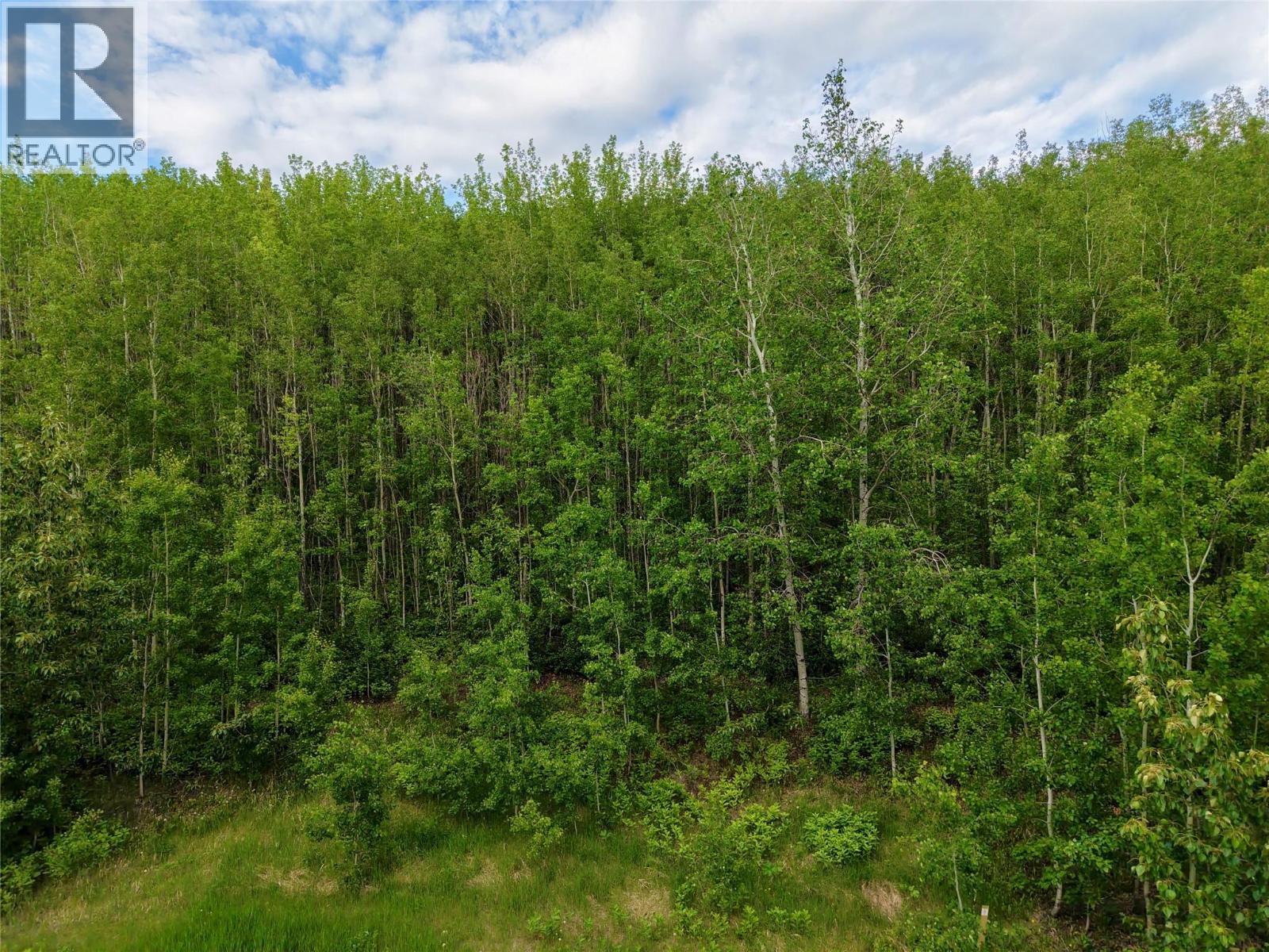 Lot 1 Kendrew Subdivision Property Photo 6
