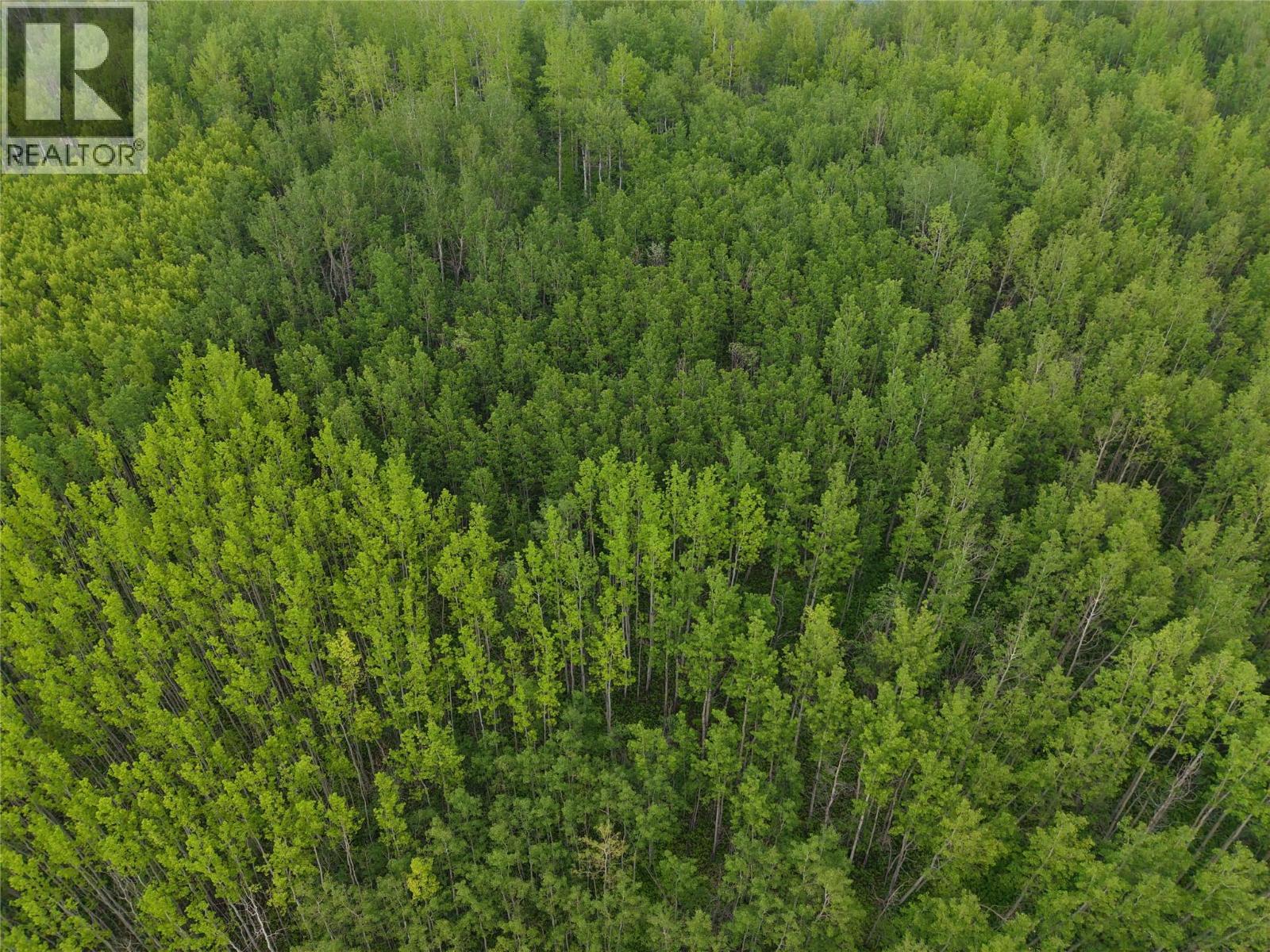 Lot 1 Kendrew Subdivision Property Photo 8