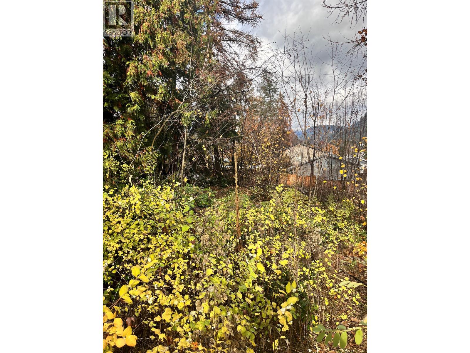 9th Avenue Property Photo 5