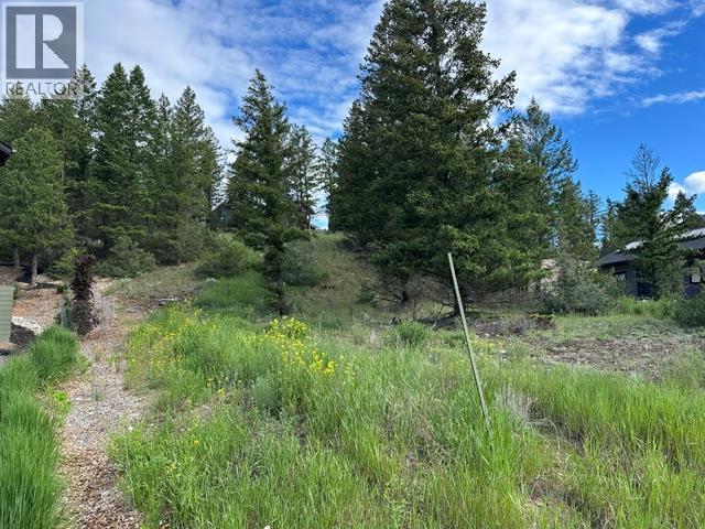 Lot 20 Berland Bend Lot# 20 Property Photo 2