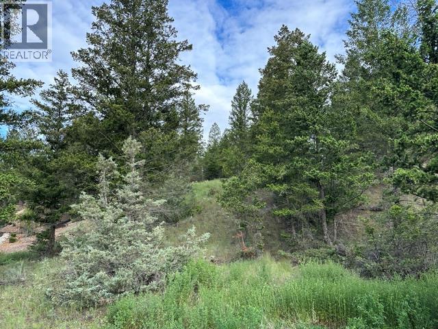 Lot 20 Berland Bend Lot# 20 Property Photo 8