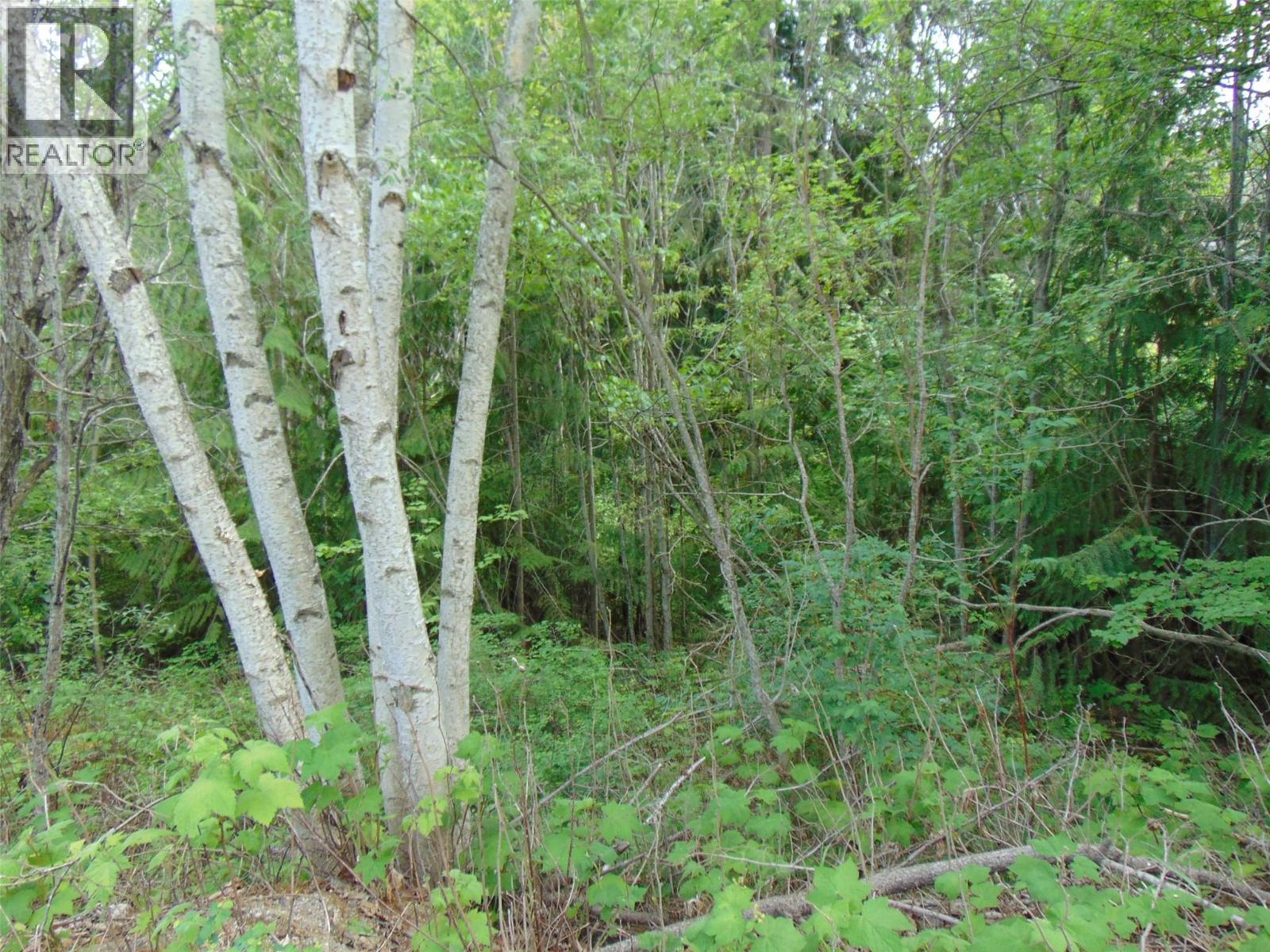 Juniper Circle Lot# 79 Property Photo 2