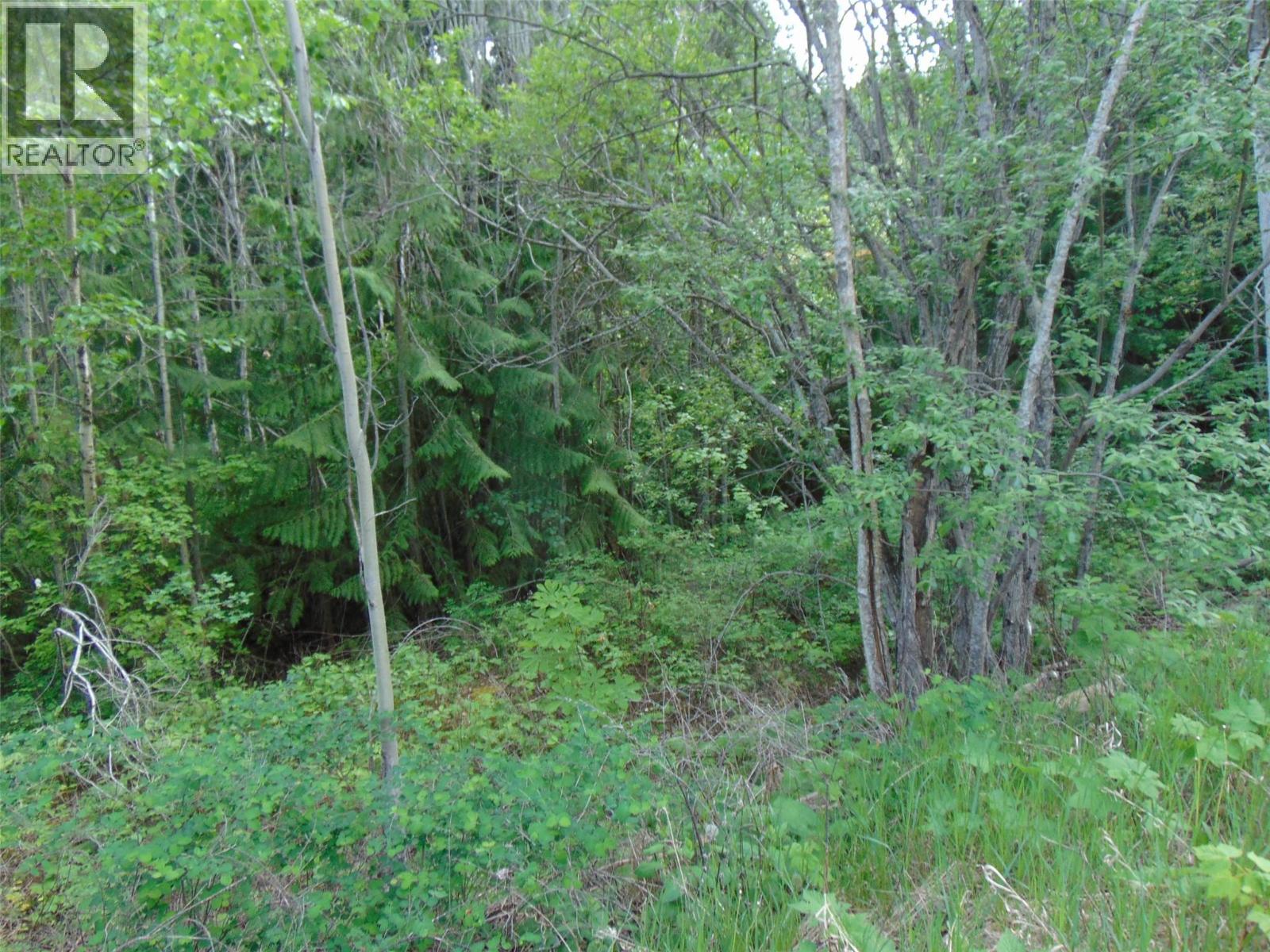 Juniper Circle Lot# 79 Property Photo 3
