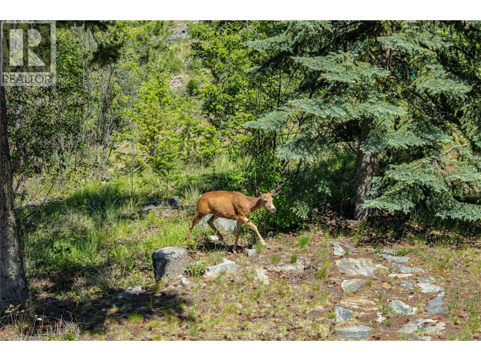 2263 Carmi Road Property Photo 49