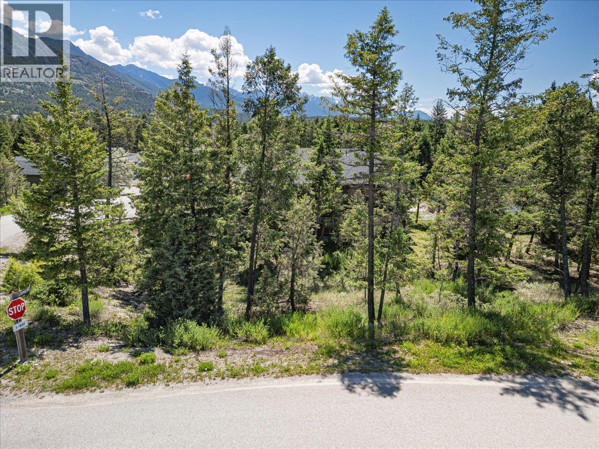 Copper Point Way Lot# 59 Property Photo 5