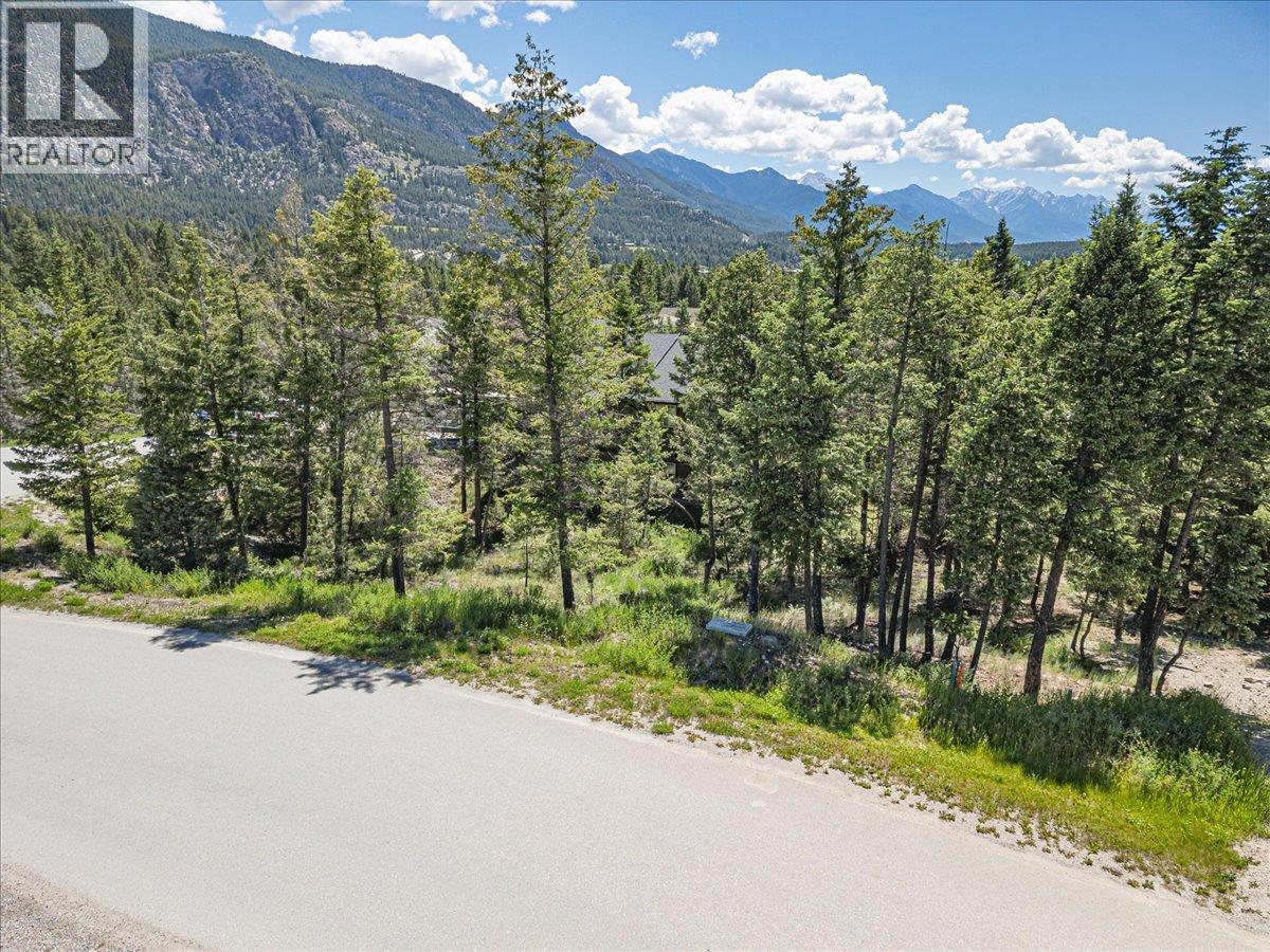 Copper Point Way Lot# 59 Property Photo 6