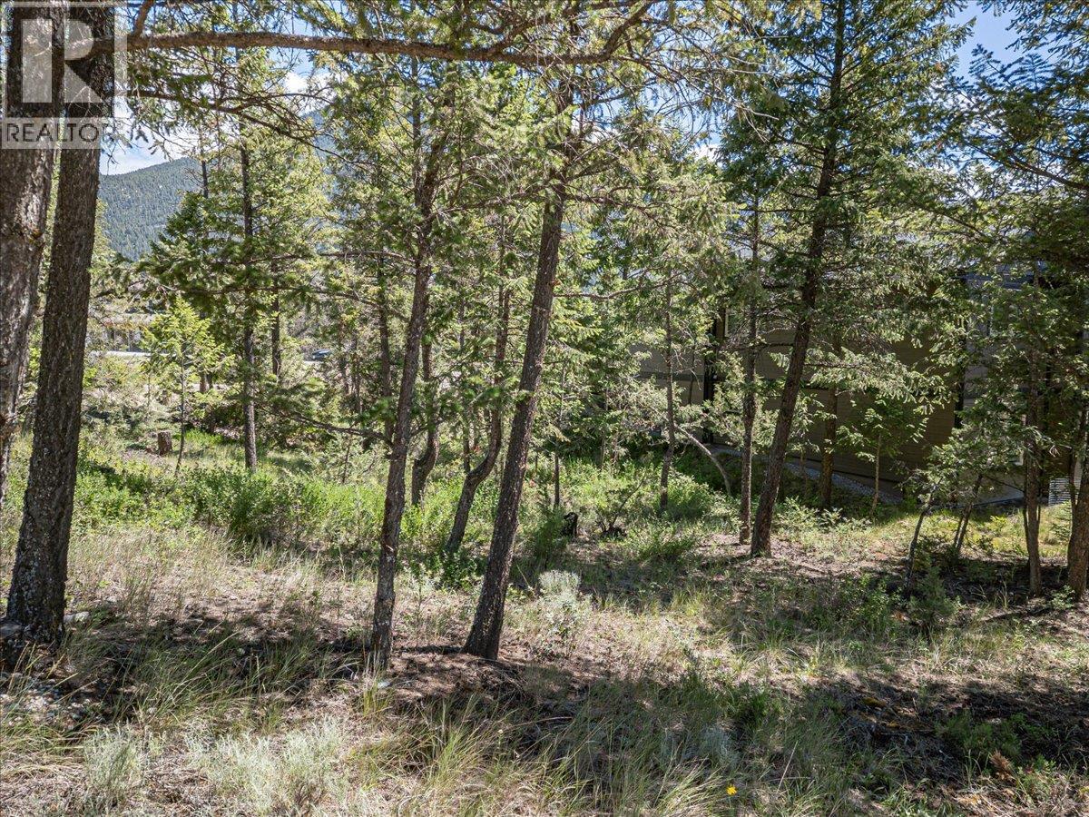 Copper Point Way Lot# 59 Property Photo 14
