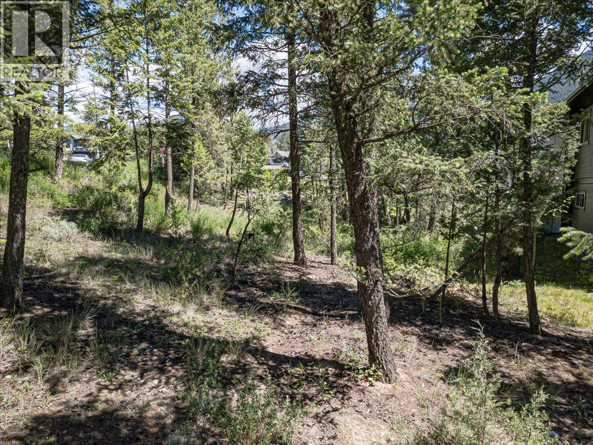 Copper Point Way Lot# 59 Property Photo 15
