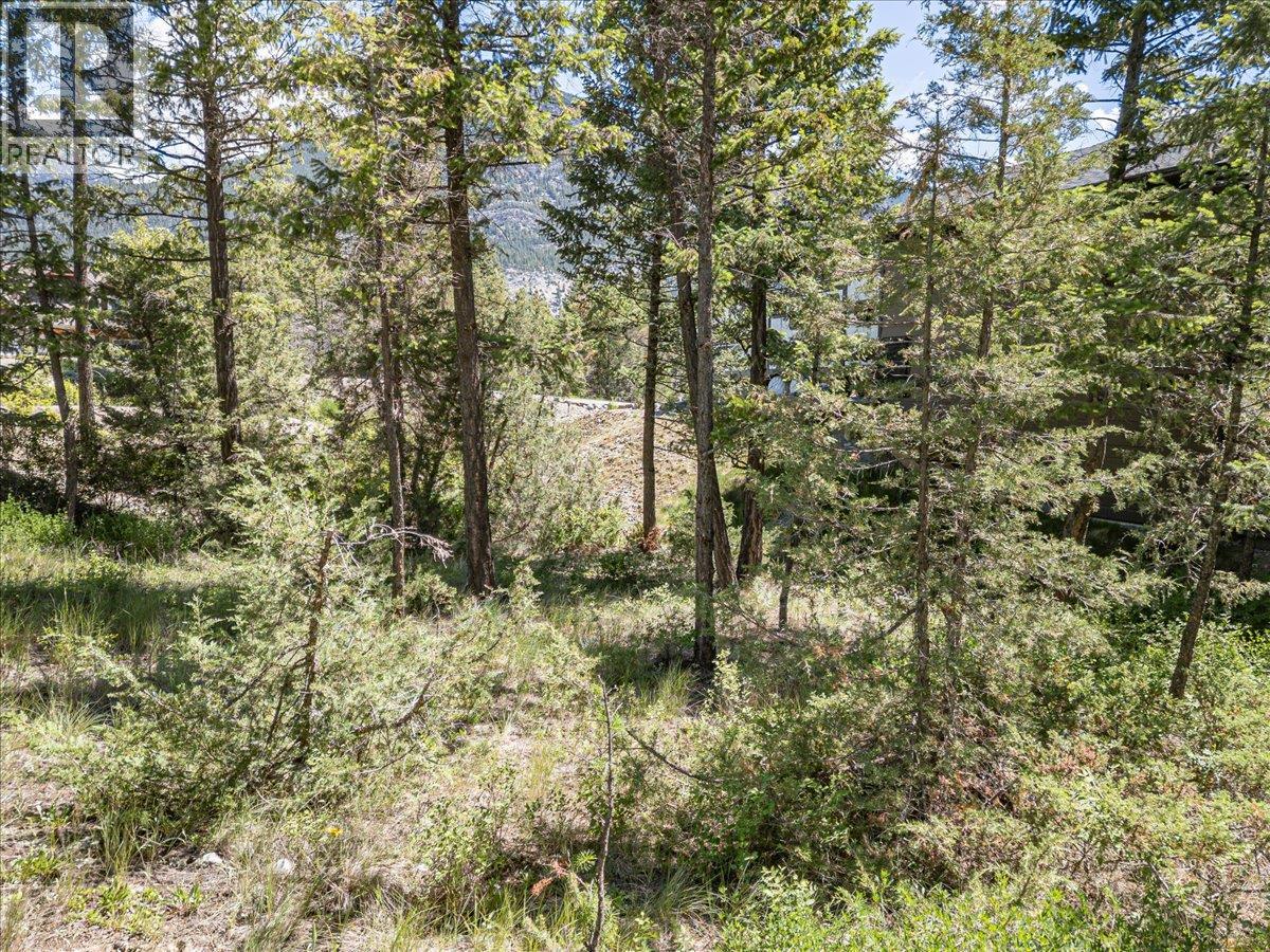 Copper Point Way Lot# 59 Property Photo 16