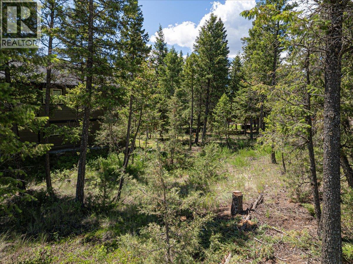 Copper Point Way Lot# 59 Property Photo 18