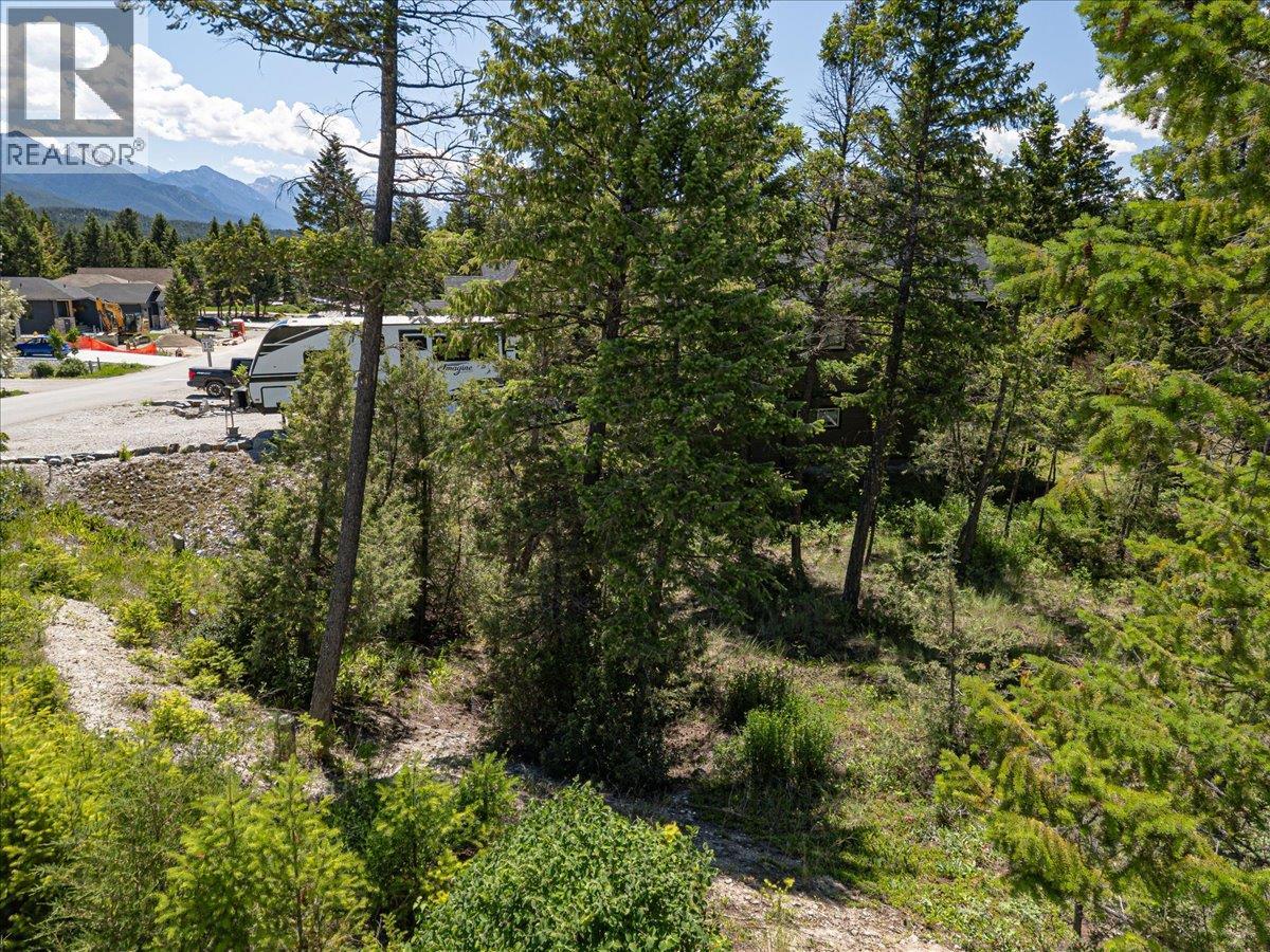 Copper Point Way Lot# 59 Property Photo 19