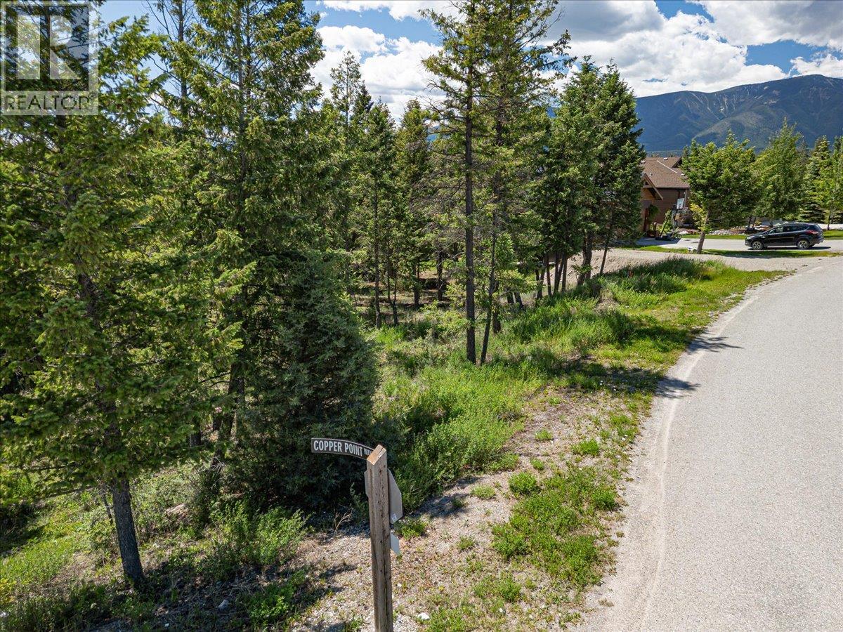 Copper Point Way Lot# 59 Property Photo 21