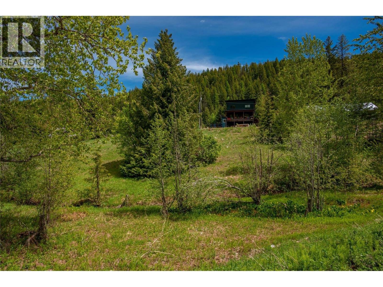 201 Joliffe Way Property Photo 24