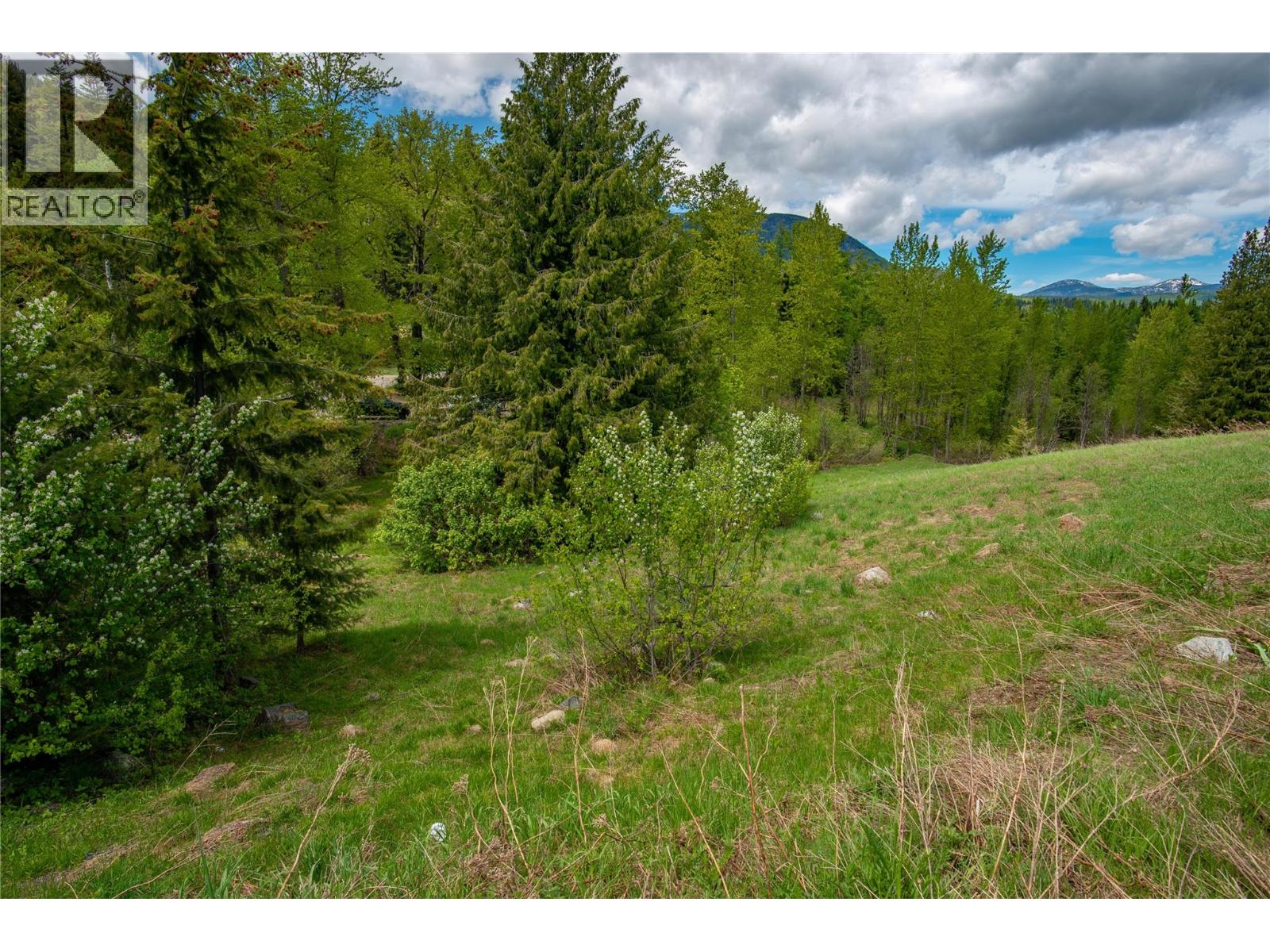 201 Joliffe Way Property Photo 32