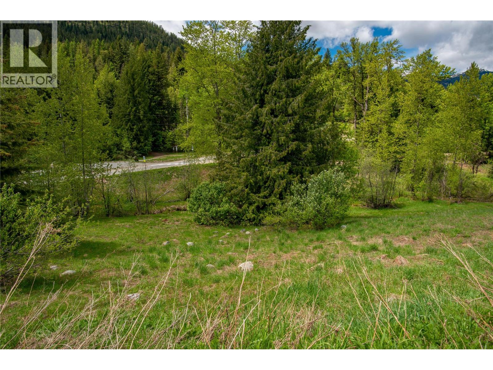 201 Joliffe Way Property Photo 33