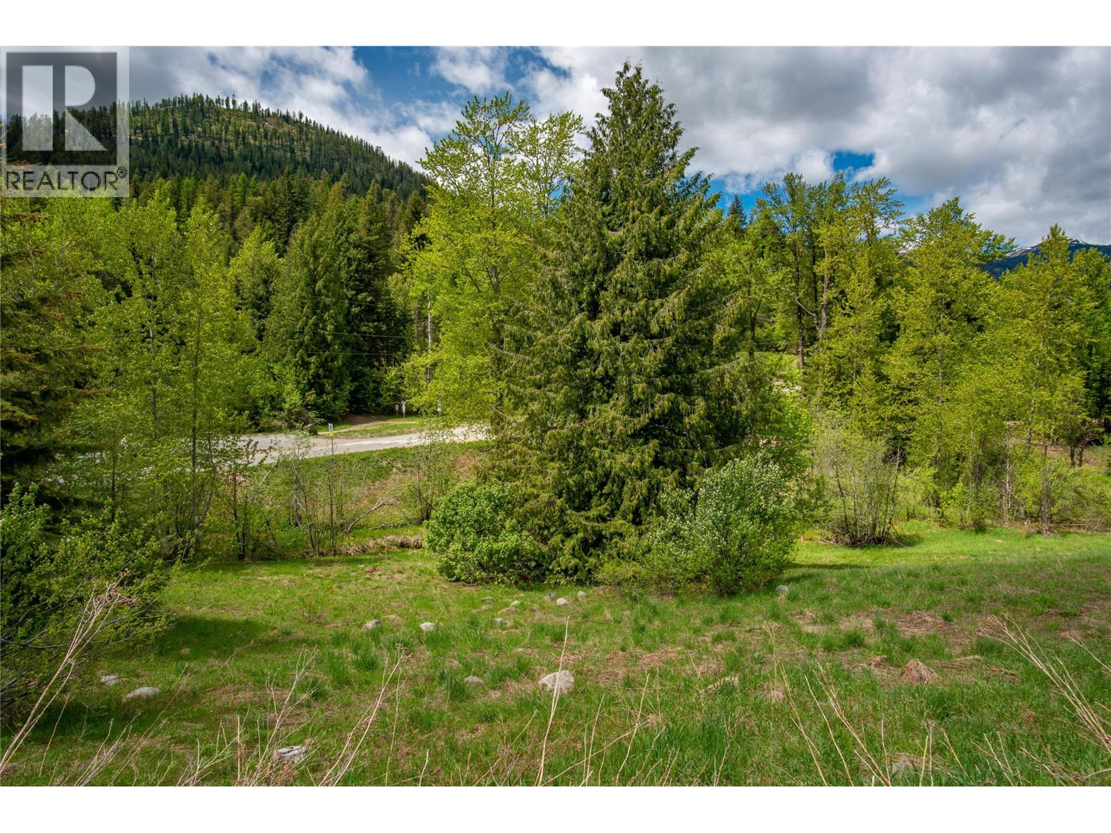201 Joliffe Way Property Photo 34