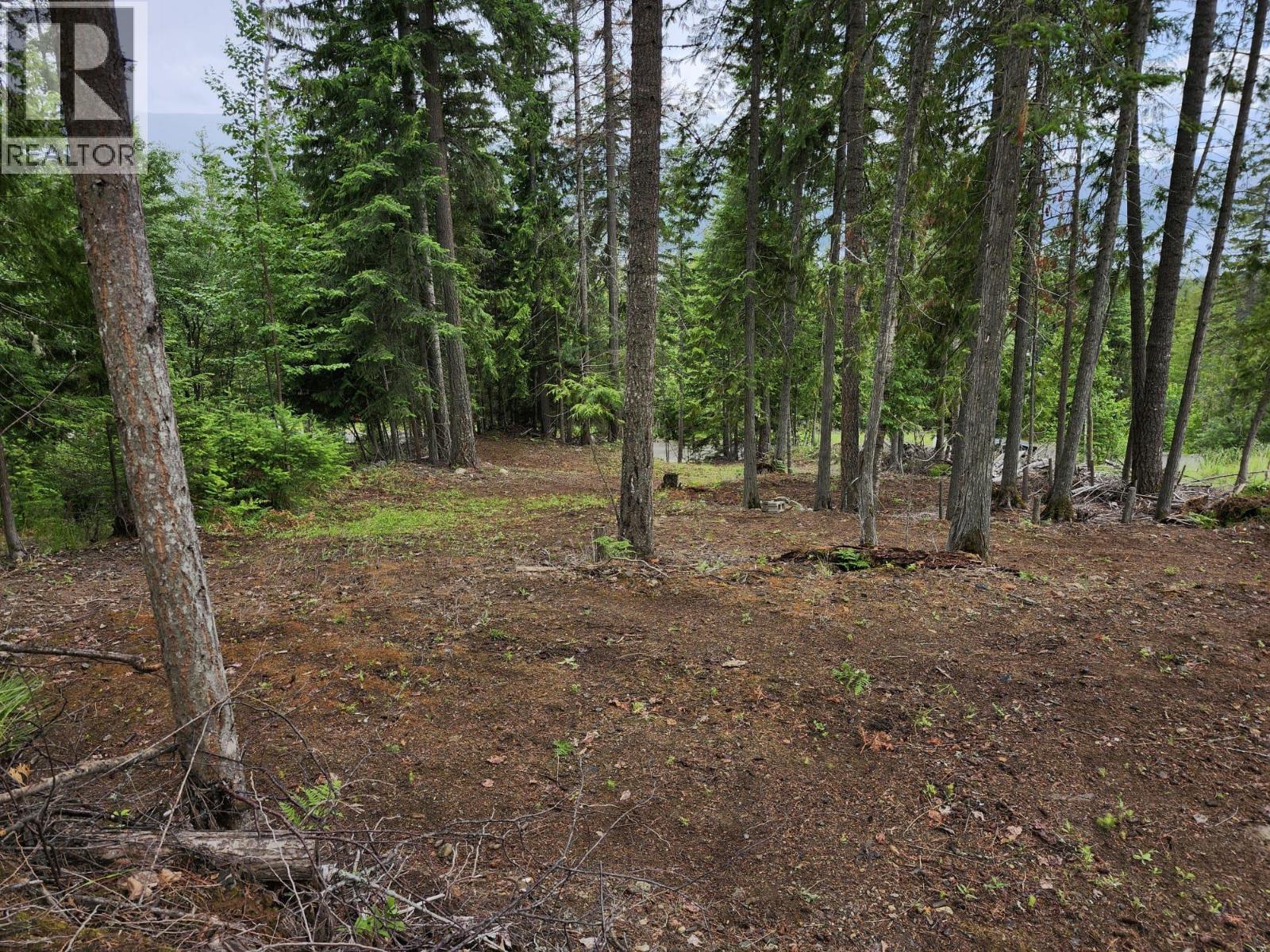 Aspen Road Lot# 331 Property Photo 4