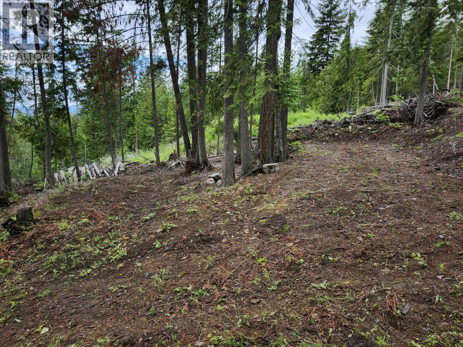 Aspen Road Lot# 331 Property Photo 5