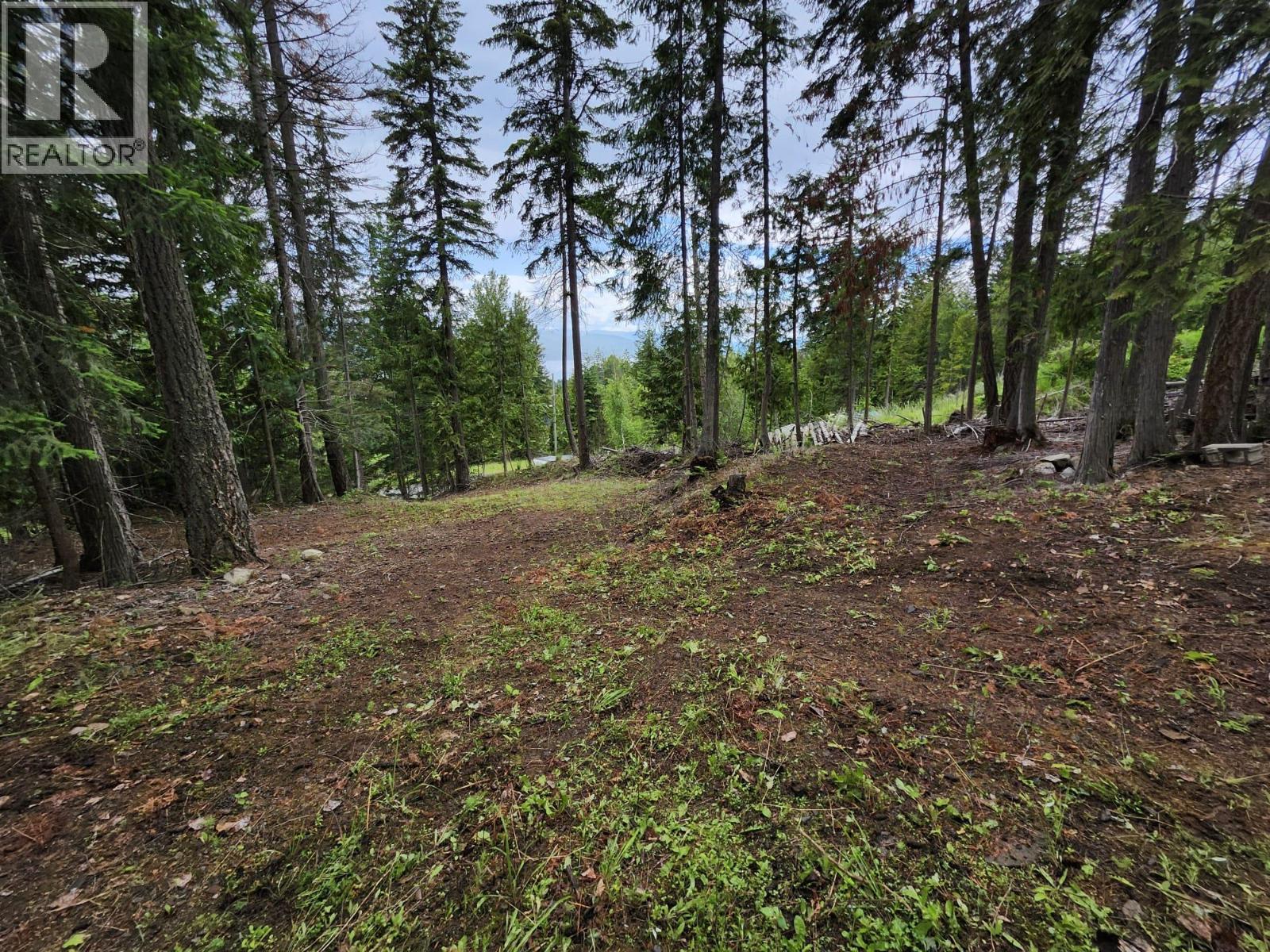 Aspen Road Lot# 331 Property Photo 6