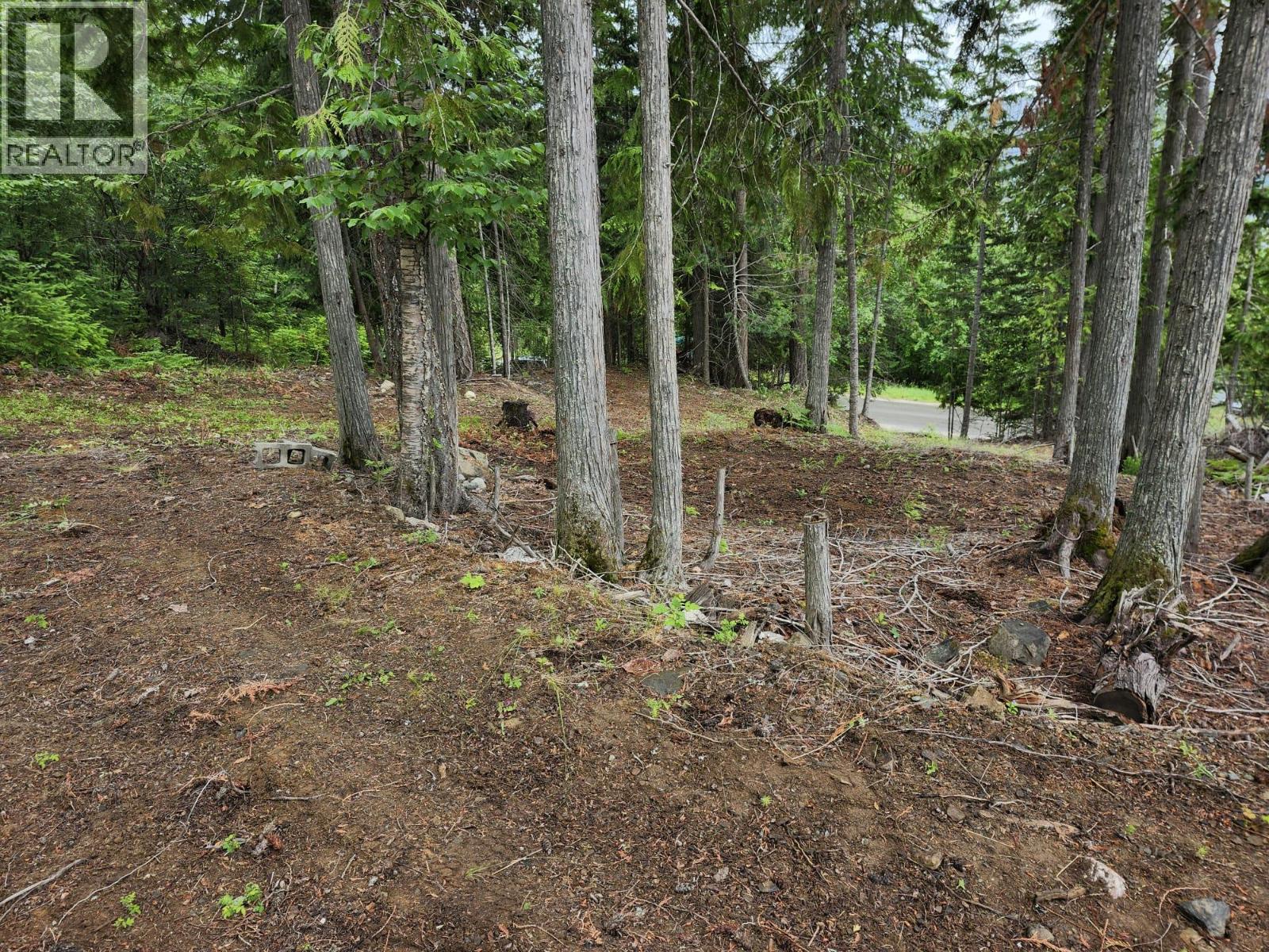Aspen Road Lot# 331 Property Photo 8