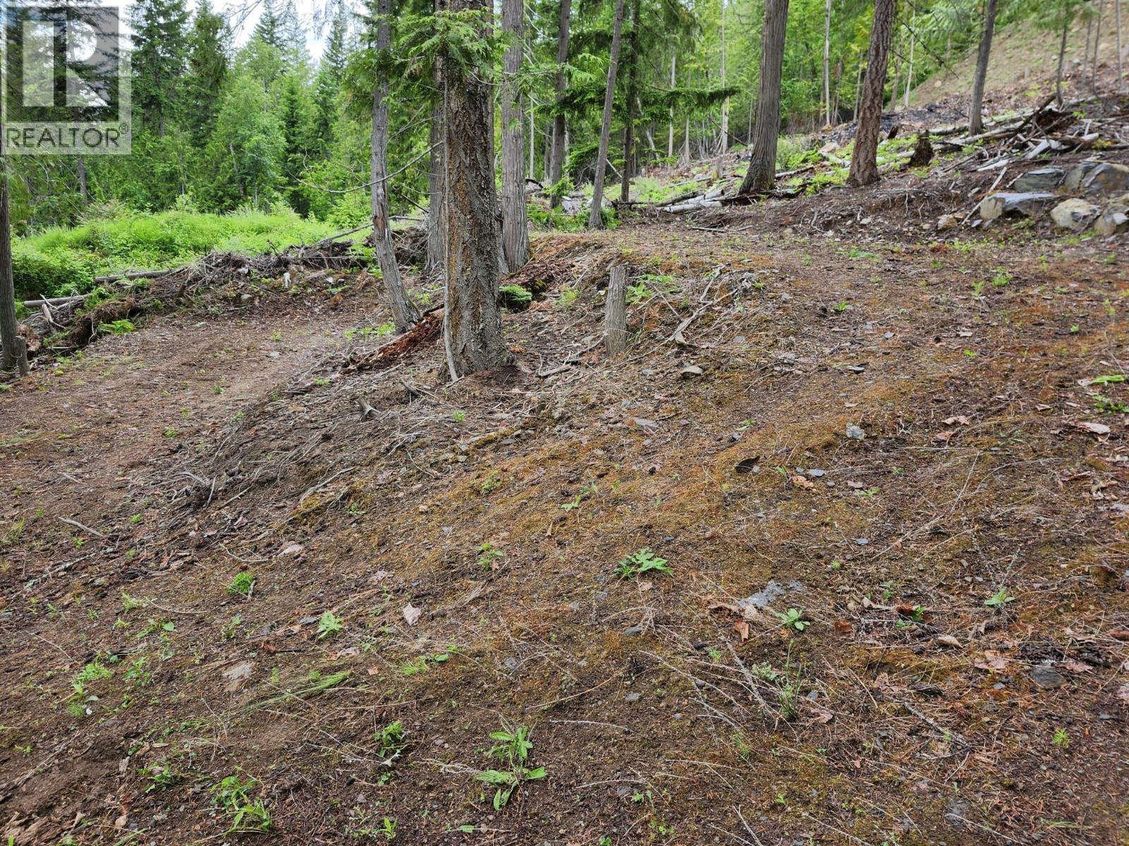 Aspen Road Lot# 331 Property Photo 11