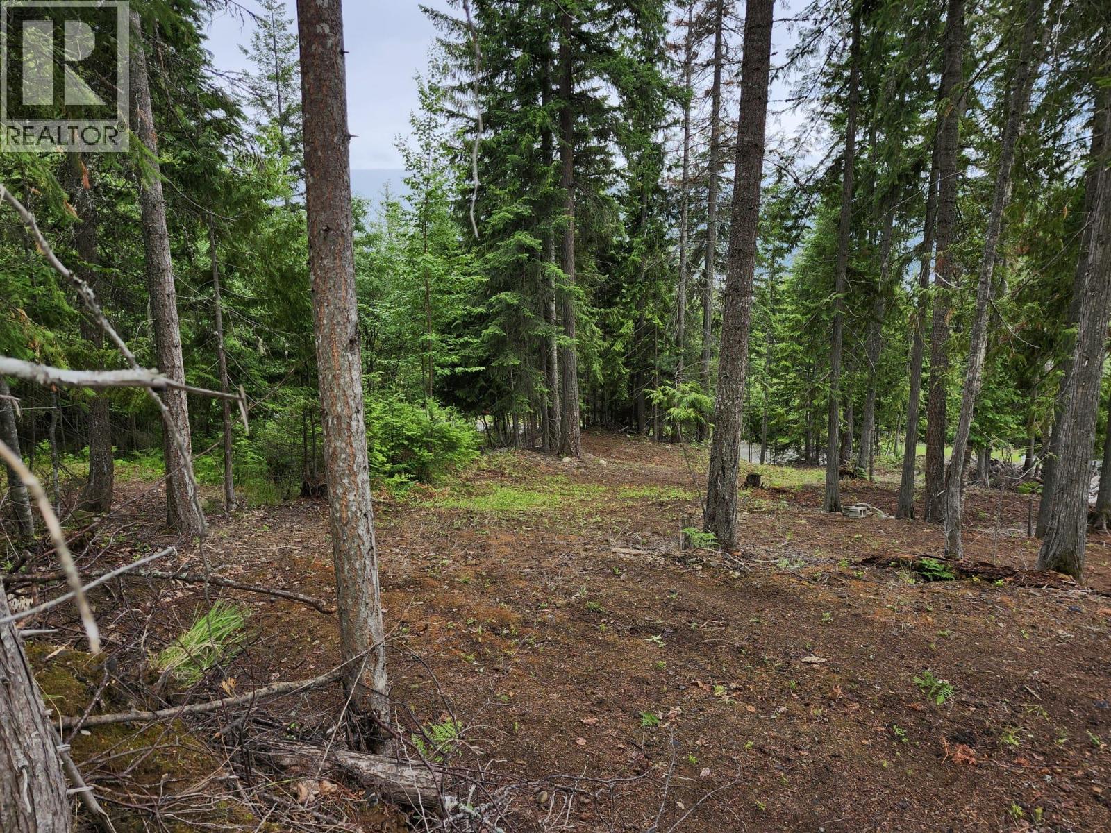 Aspen Road Lot# 331 Property Photo 13