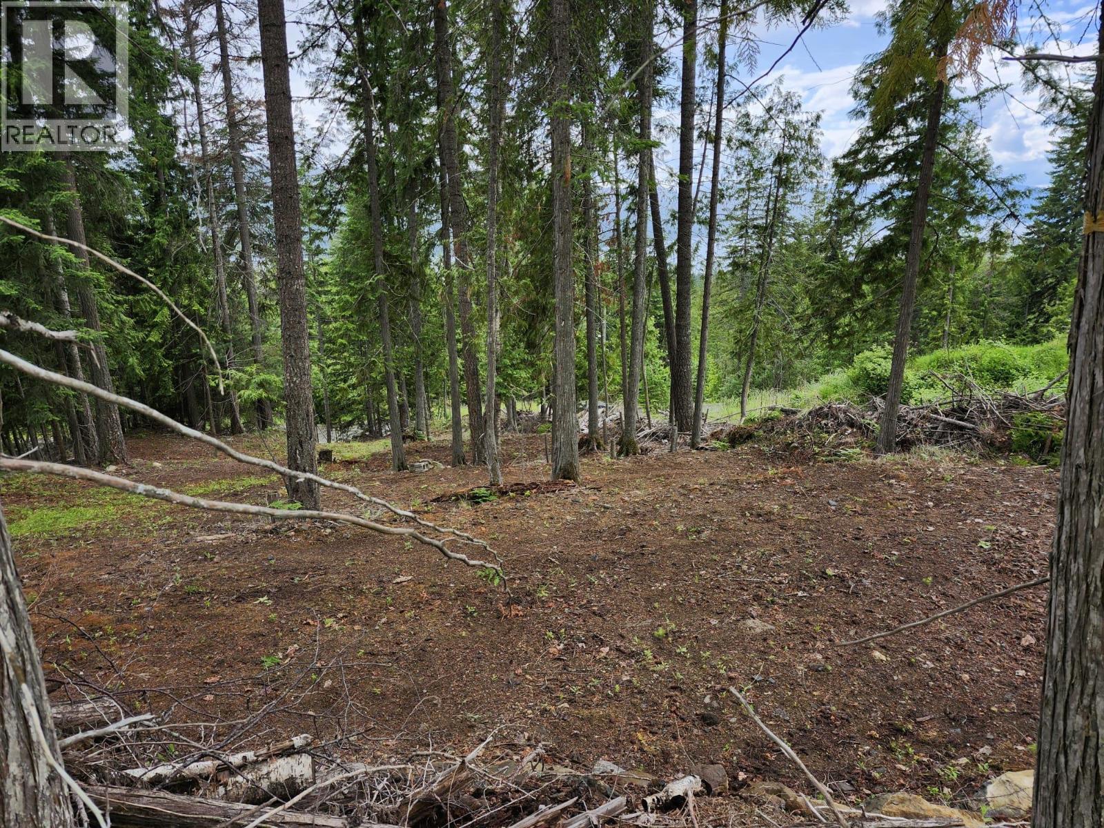 Aspen Road Lot# 331 Property Photo 14