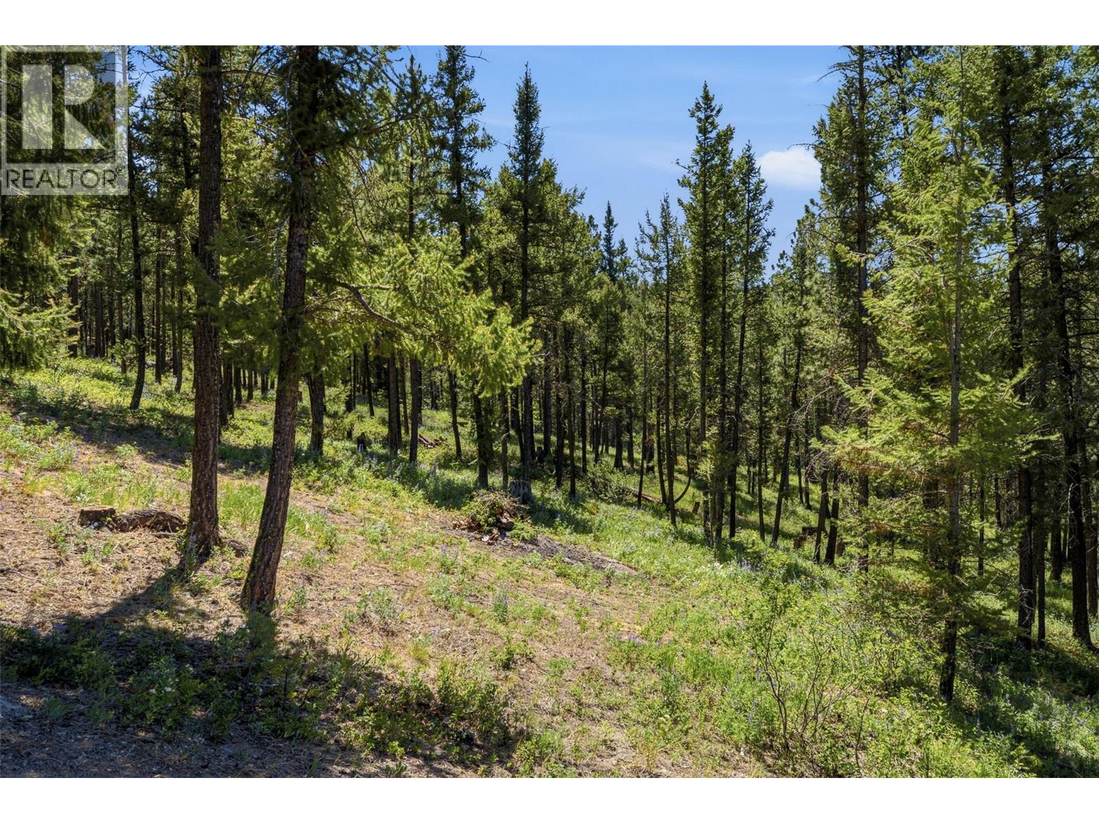 550 Kane Valley Road Property Photo 59