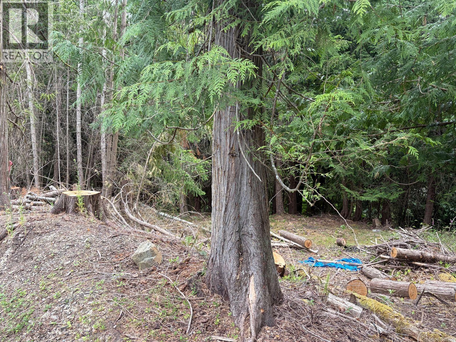 2602 Gunwhale Rd Property Photo 5