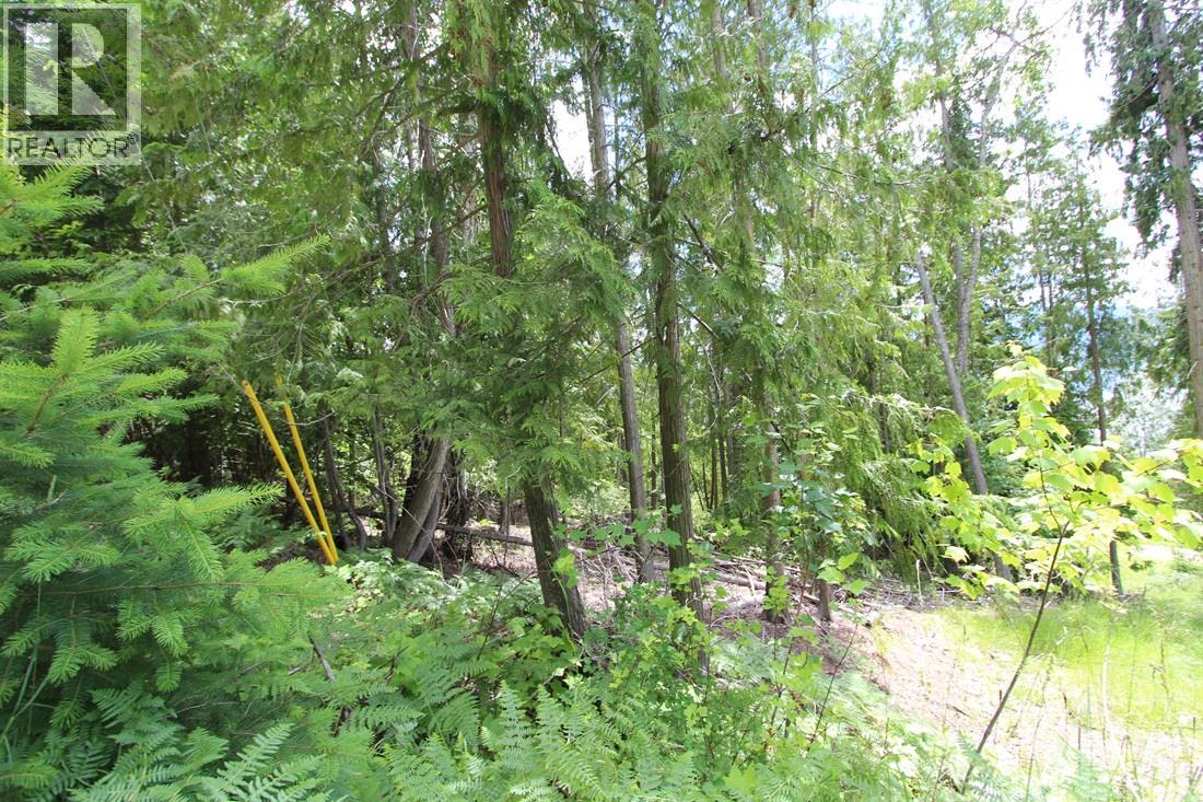 Vickers Trail Lot# 1 Property Photo 3