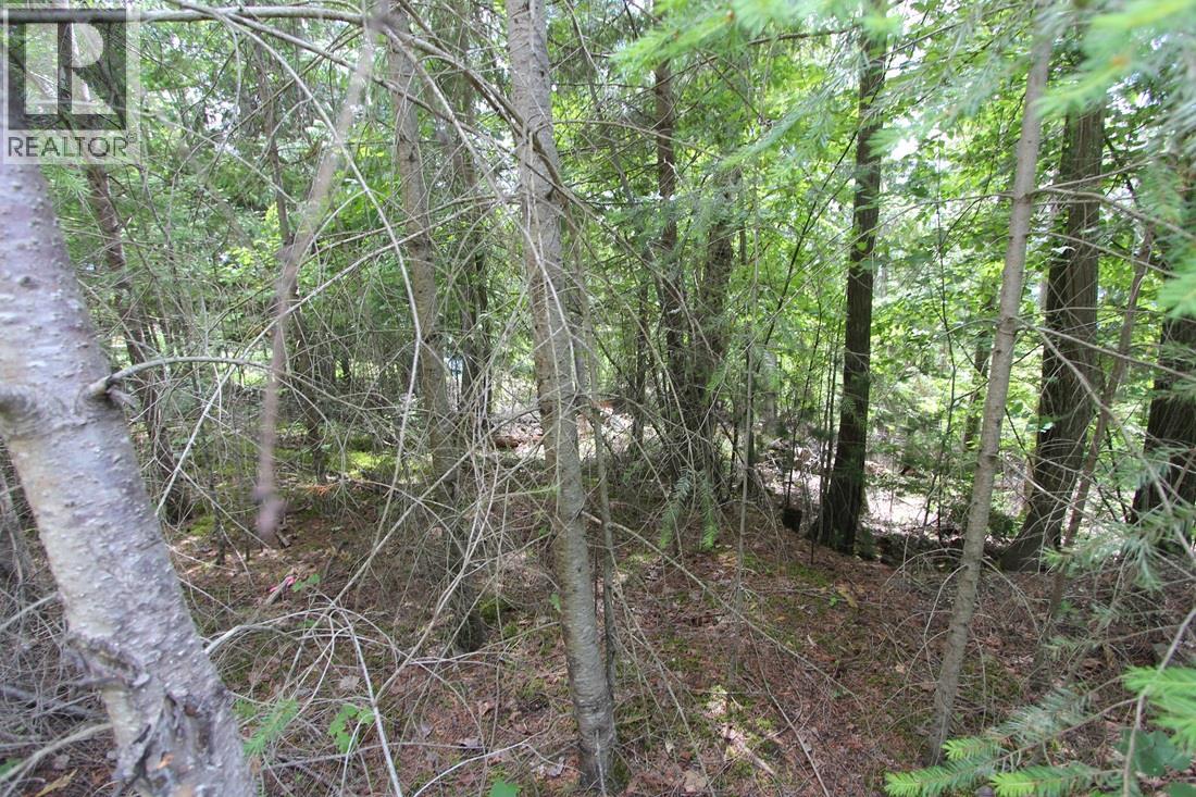 Vickers Trail Lot# 1 Property Photo 4