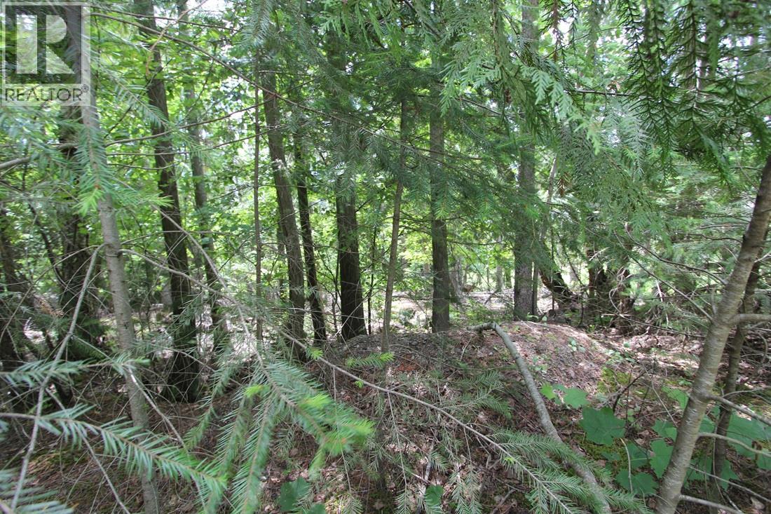 Vickers Trail Lot# 1 Property Photo 5