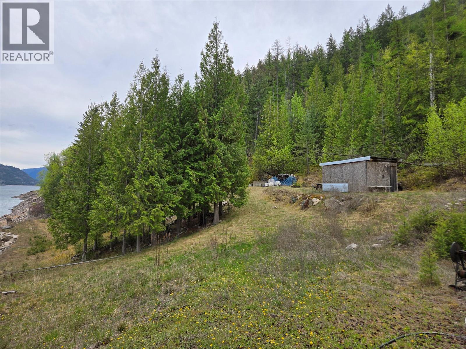 180 Lower Arrow Lake Property Photo 3
