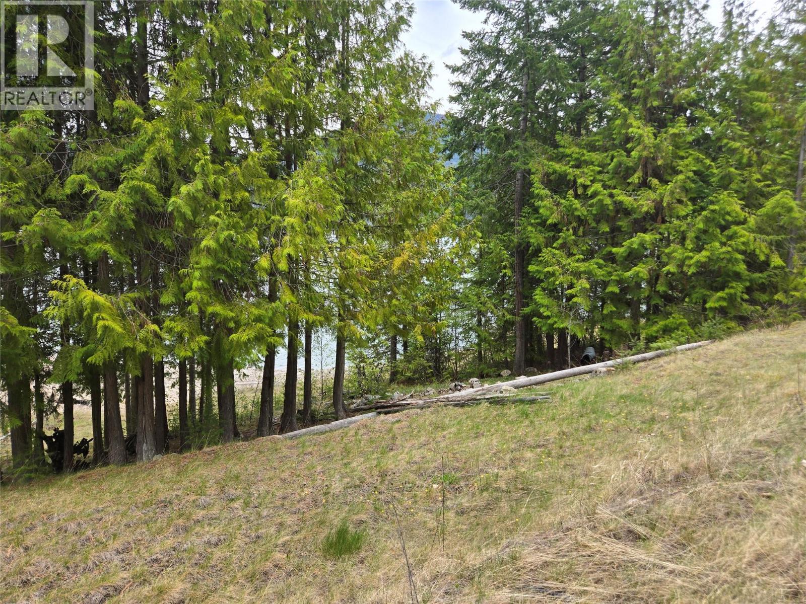 180 Lower Arrow Lake Property Photo 8