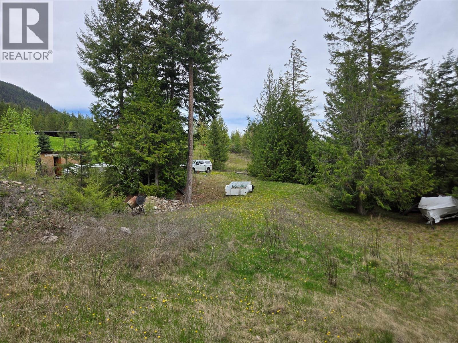 180 Lower Arrow Lake Property Photo 9
