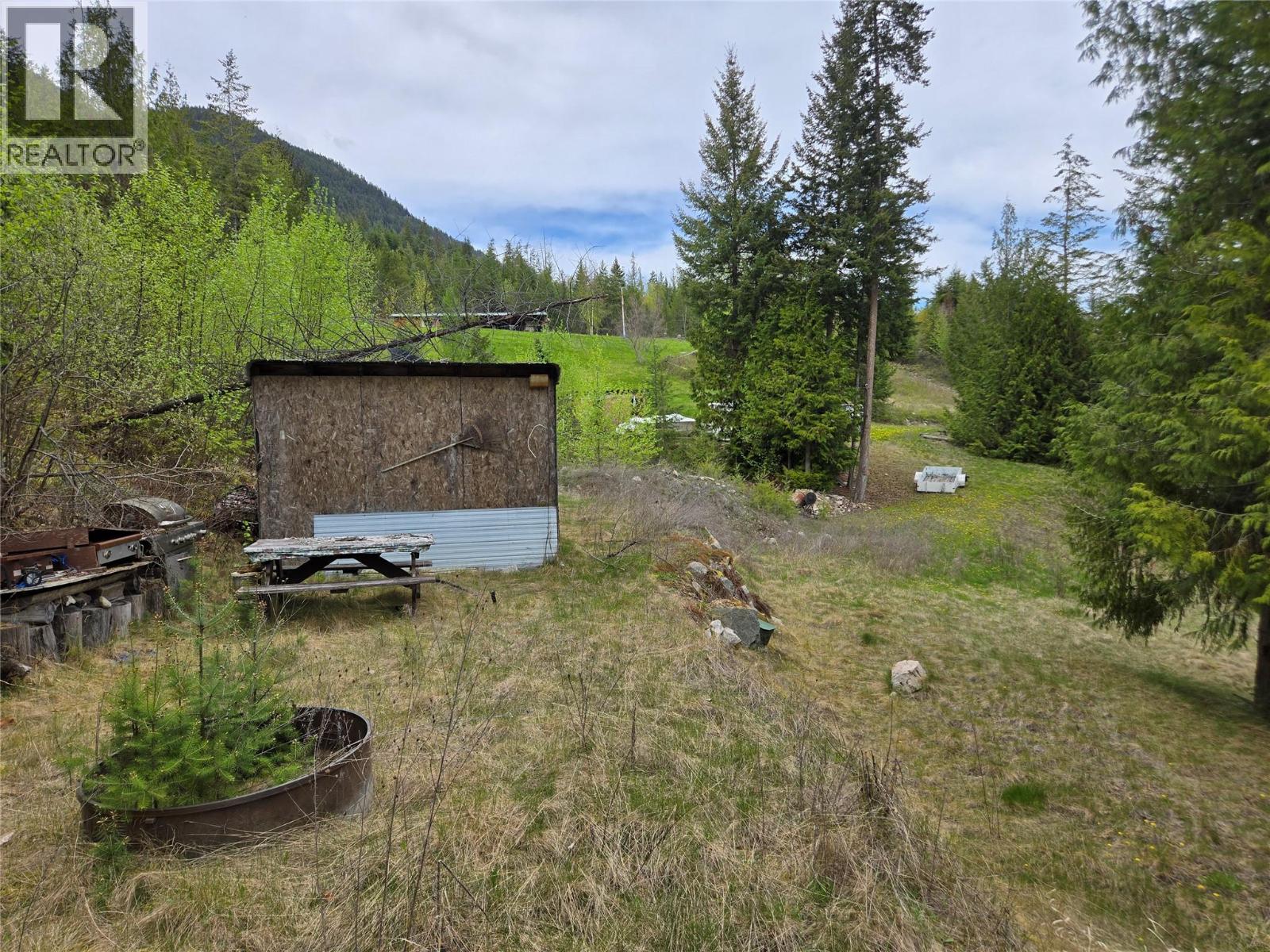 180 Lower Arrow Lake Property Photo 11