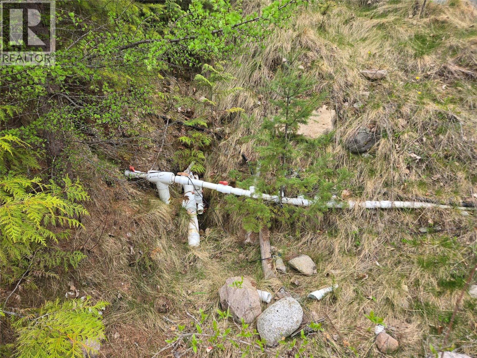 180 Lower Arrow Lake Property Photo 14