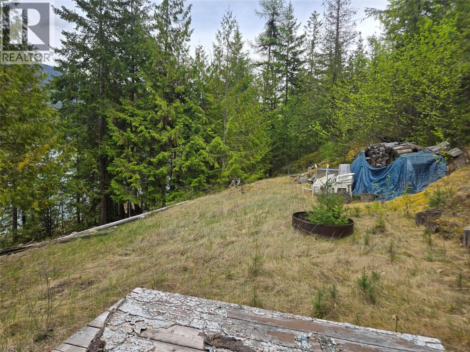 180 Lower Arrow Lake Property Photo 21