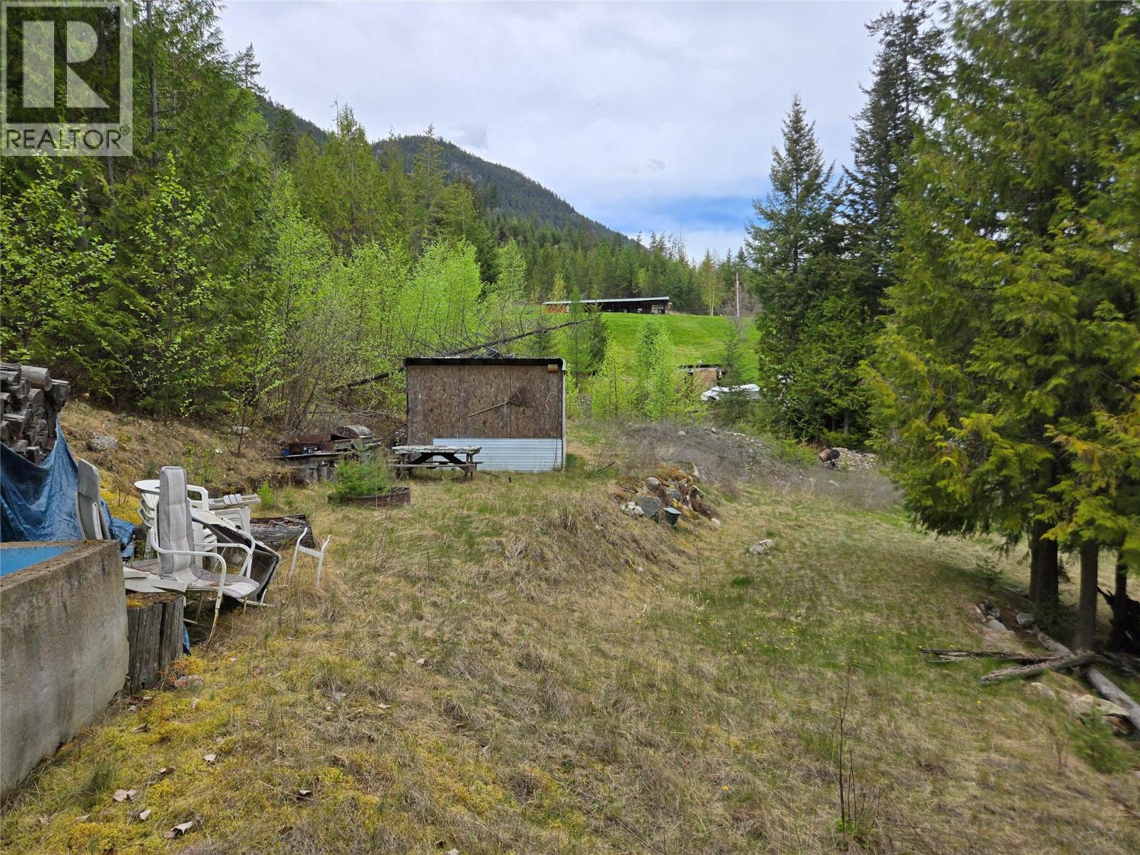 180 Lower Arrow Lake Property Photo 23