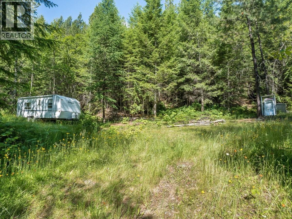 5875 Slocan River Road Property Photo 10