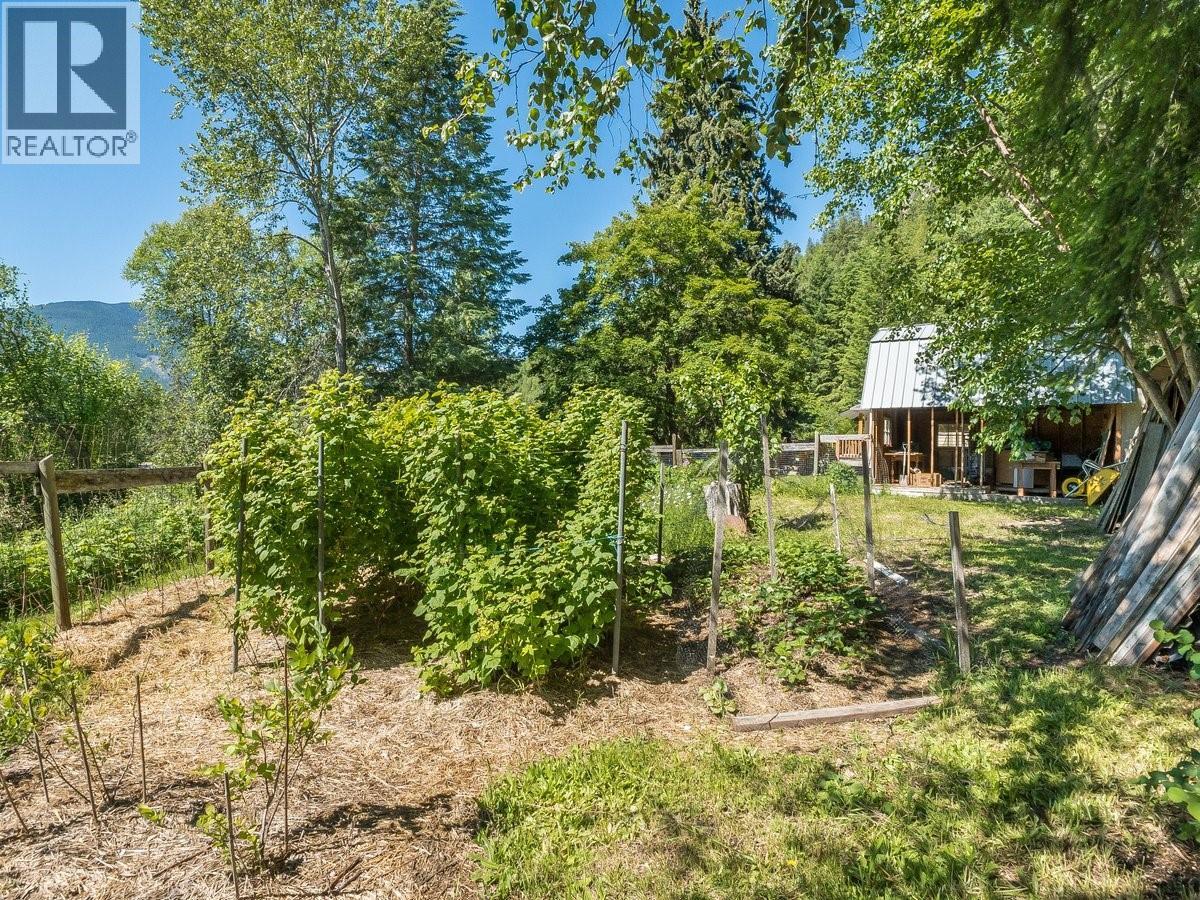 5875 Slocan River Road Property Photo 15