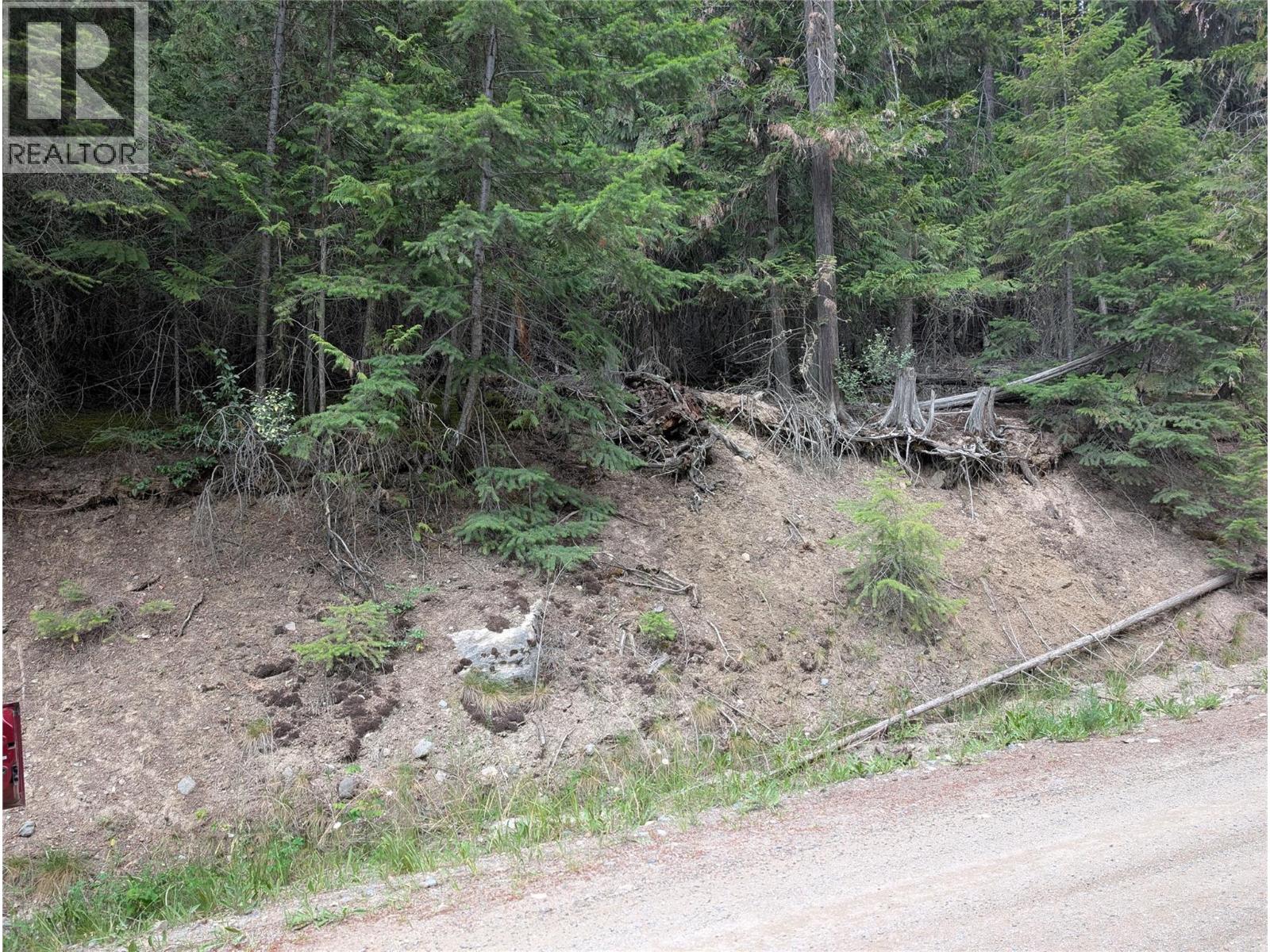 Copper Island Drive, Vickers Trail Property Photo 5